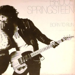 Пластинка Bruce Springsteen Born to Run